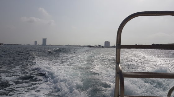 jeddah cruise